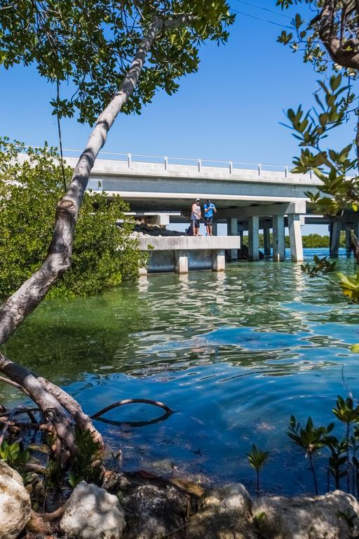 Creekside Inn Islamorada Tavernier Exteriér fotografie